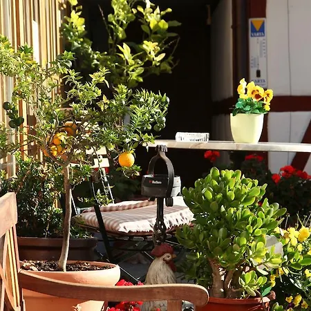 Inn Gaestehaus Pfefferle Garni Und